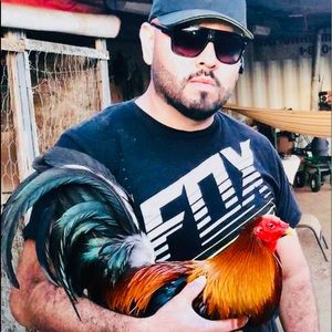 Meet your Posher, Mauro